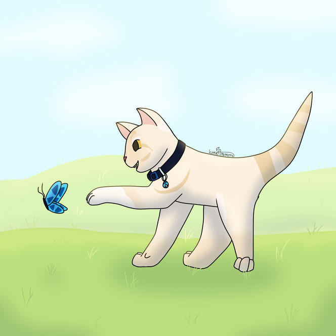 A small kitten with a large collar batting at a butterfly