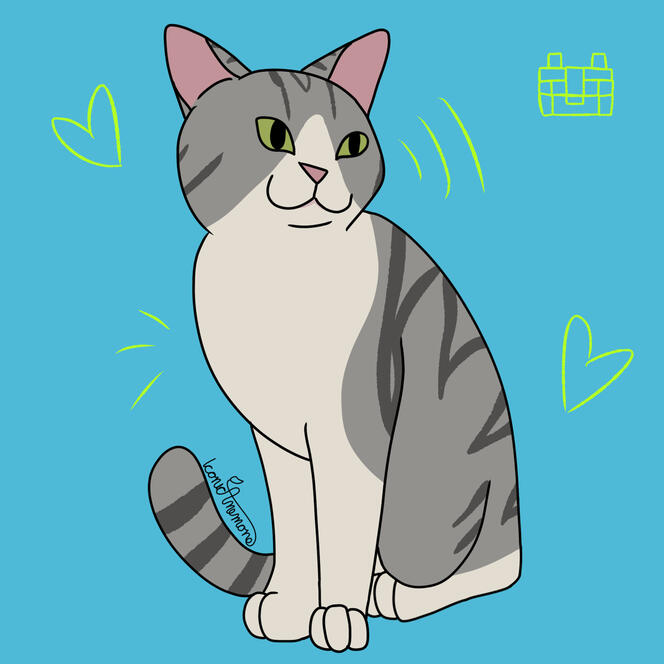 An image redraw of a silver tabby cat with white on her face chest and paws